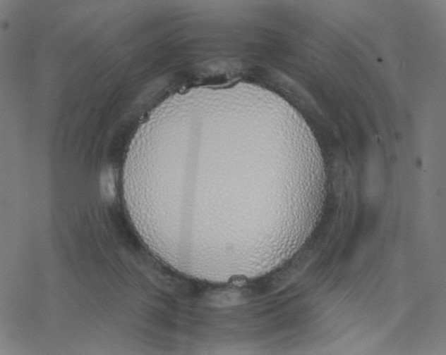 X0000077280075200611101328