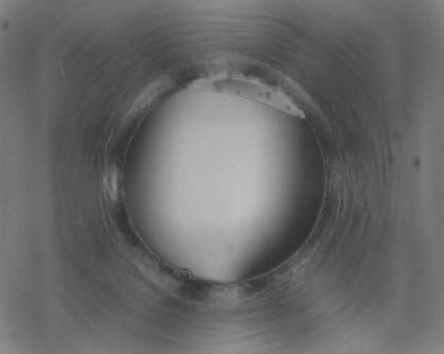 X0000077280076200611101328