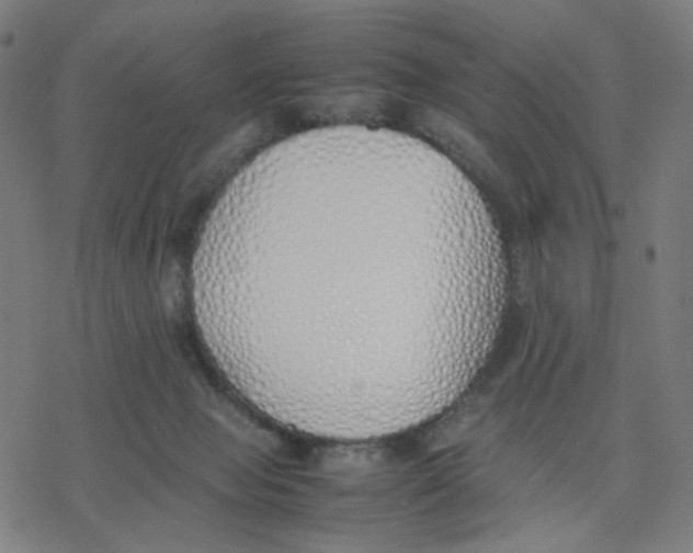 X0000077280077200611101328