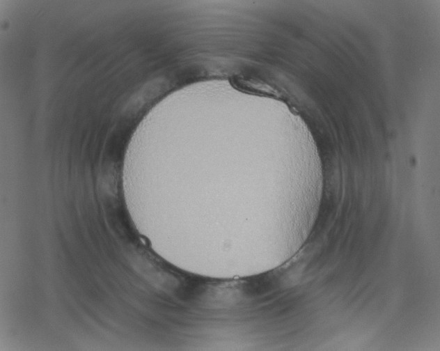 X0000077280078200611101328