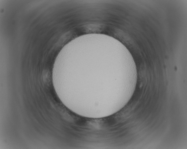 X0000077280079200611101328