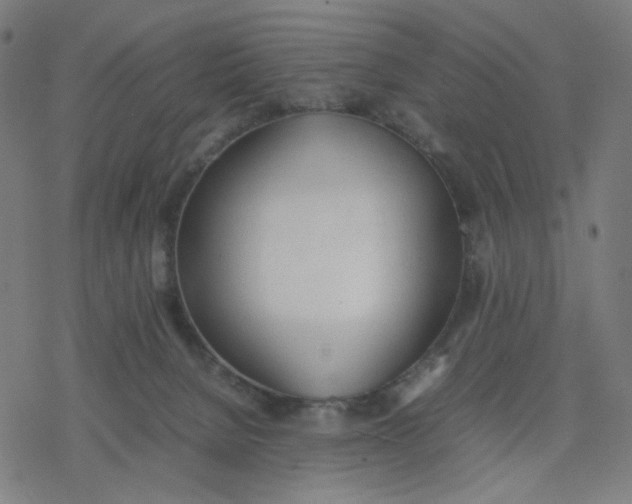 X0000077280080200611101328