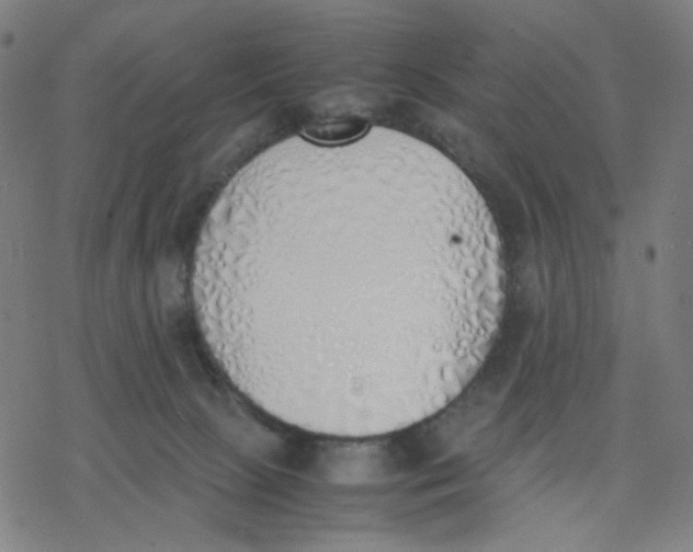 X0000077280081200611101328