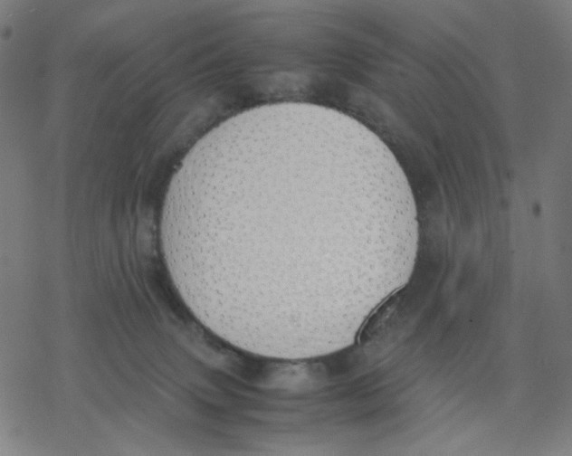 X0000077280083200611101328