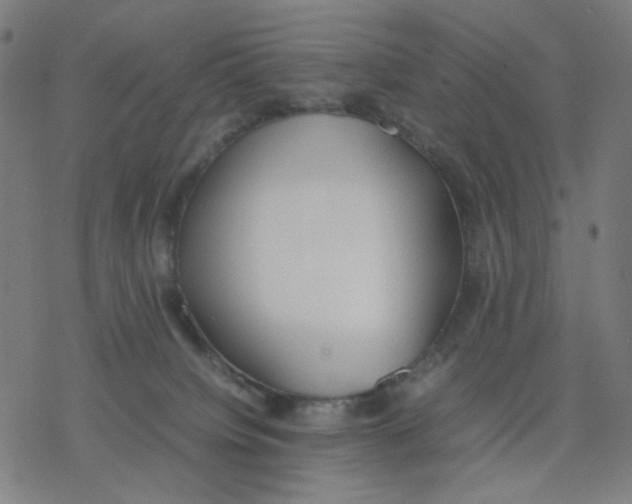 X0000077280084200611101328