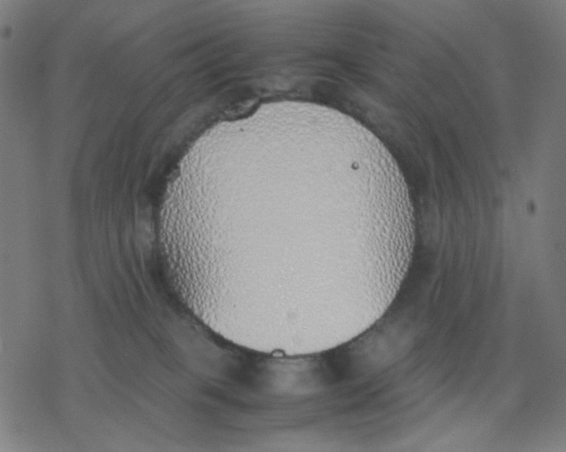 X0000077280085200611101328