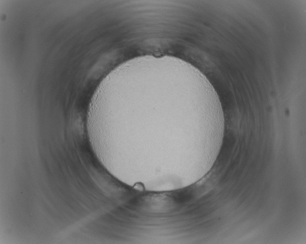 X0000077280086200611101328