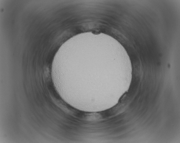 X0000077280087200611101328