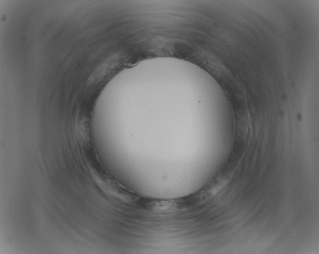 X0000077280088200611101328