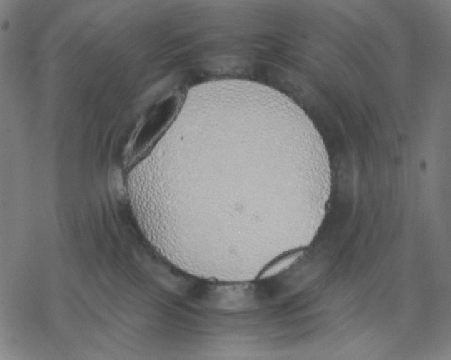 X0000077280089200611101328