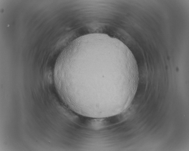 X0000077280090200611101329