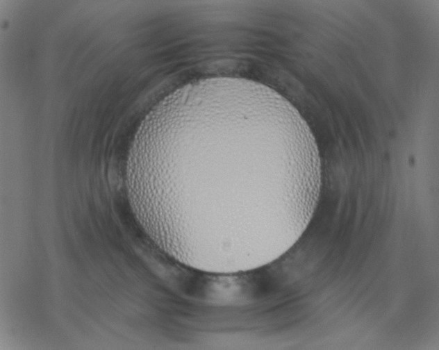 X0000077280091200611101329