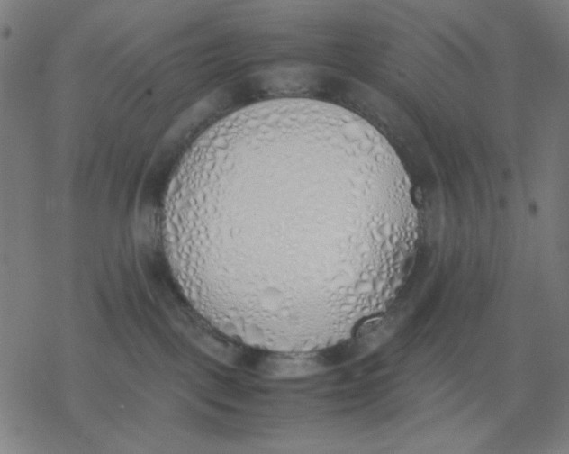 X0000077280093200611101329