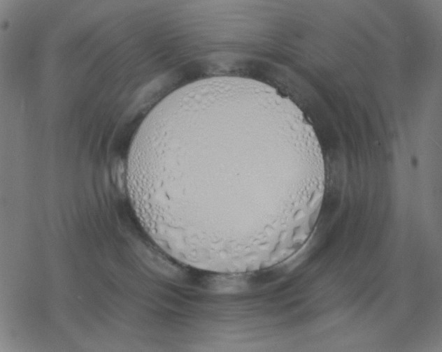 X0000077280094200611101329