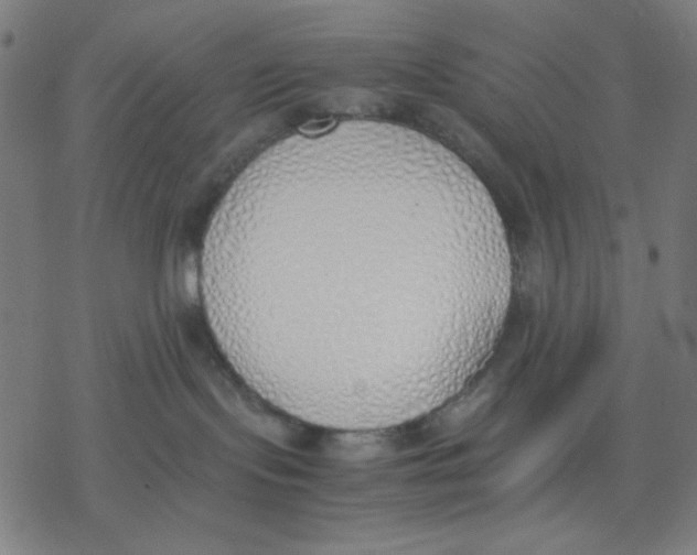 X0000077280095200611101329