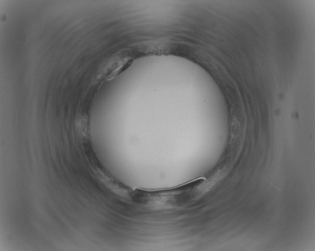 X0000077280096200611101329