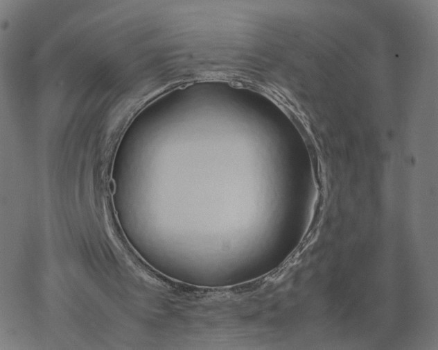 X0000077280097200611101328