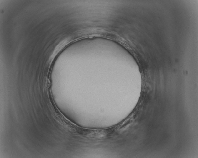 X0000077280099200611101328