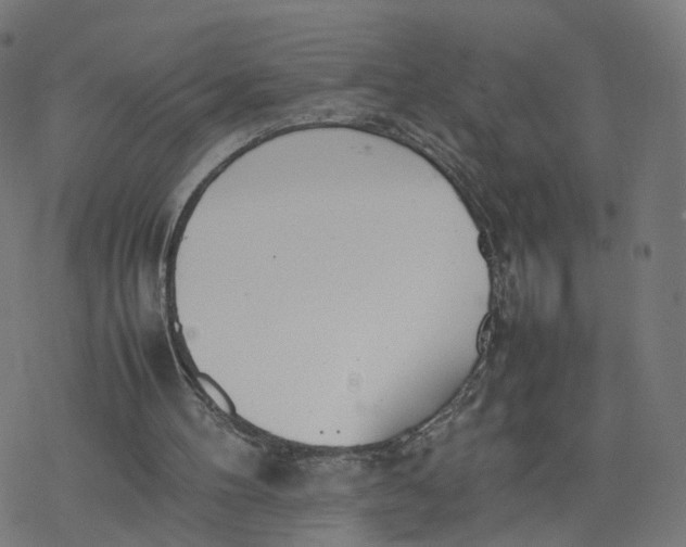 X0000077280100200611101328