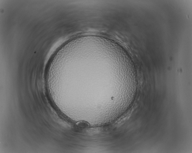 X0000077280102200611101328