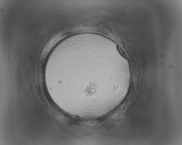 X0000077280103200611101328