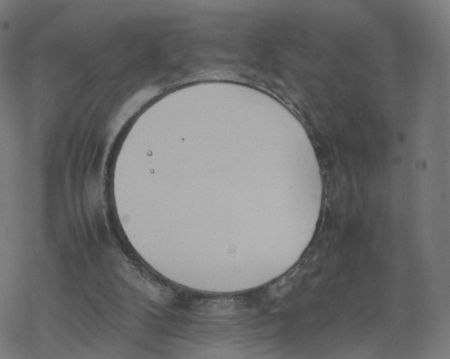 X0000077280104200611101328