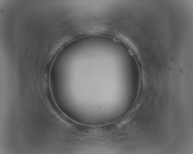 X0000077280105200611101328