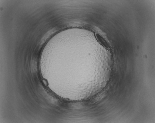 X0000077280106200611101328