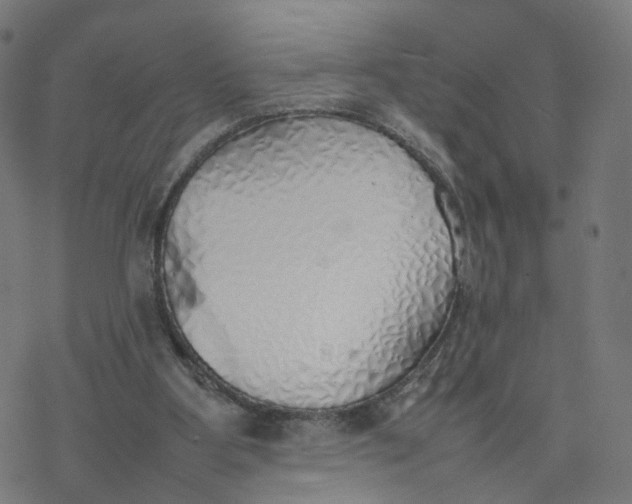 X0000077280107200611101328