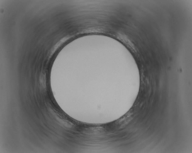 X0000077280108200611101328