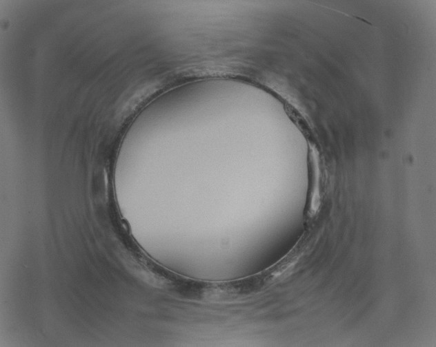 X0000077280109200611101328