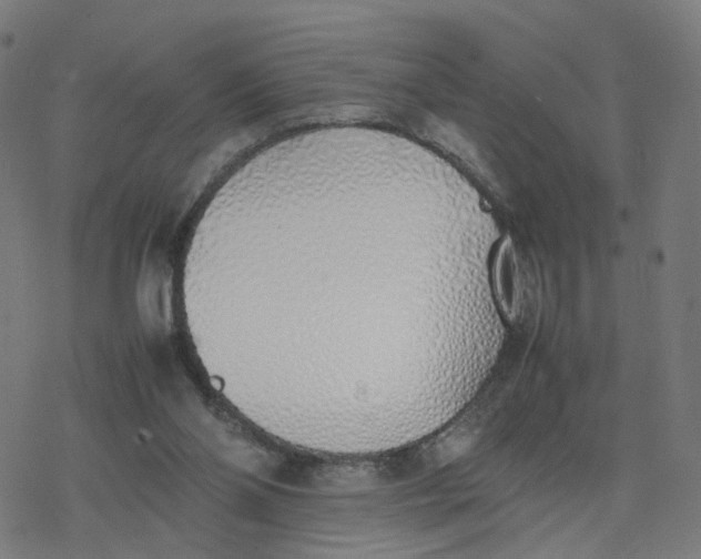 X0000077280110200611101328