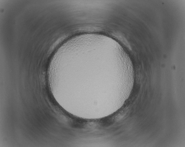 X0000077280111200611101328