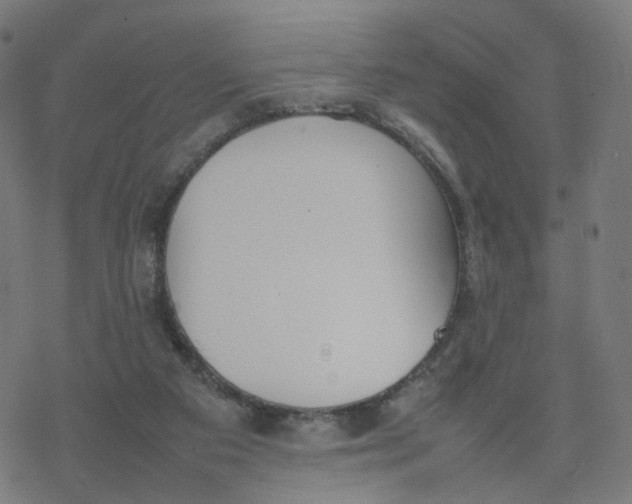 X0000077280113200611101328