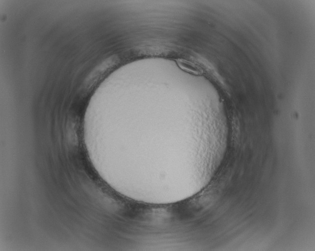 X0000077280114200611101328