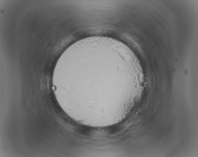 X0000077280115200611101328