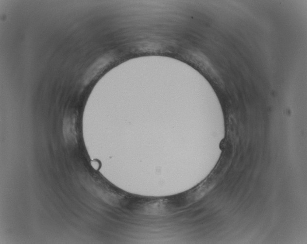 X0000077280116200611101328