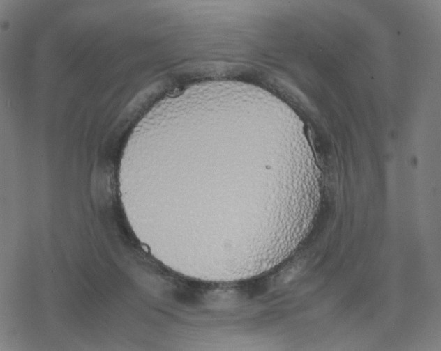 X0000077280119200611101327