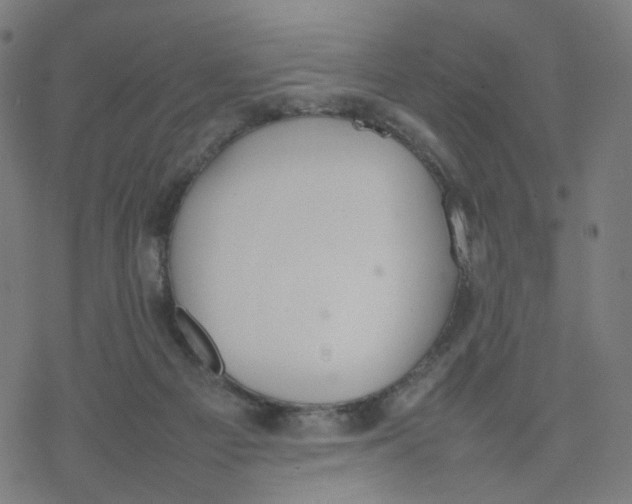 X0000077280121200611101327