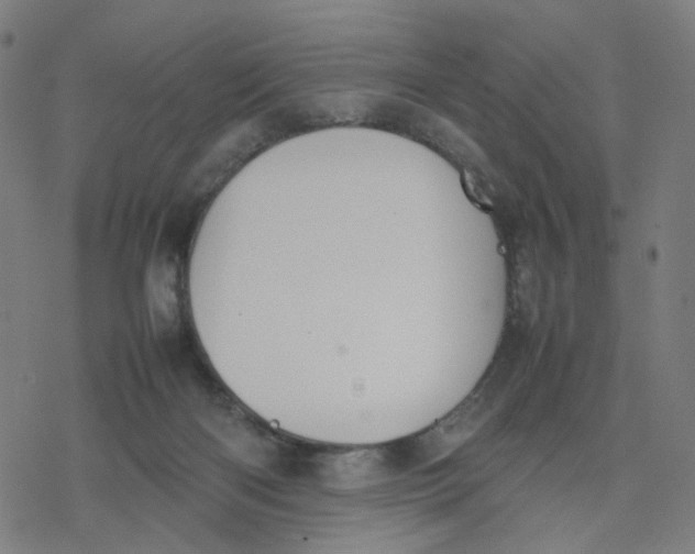 X0000077280122200611101327