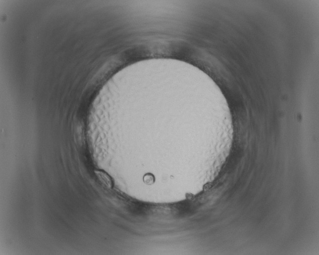 X0000077280123200611101327