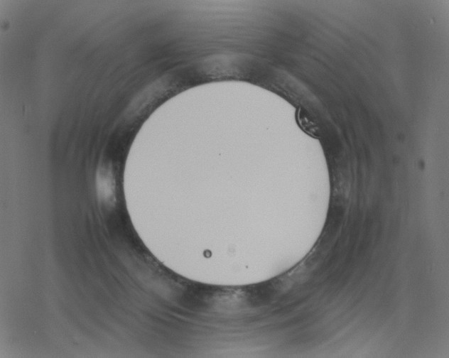 X0000077280124200611101327