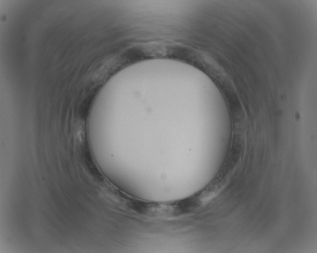 X0000077280125200611101327