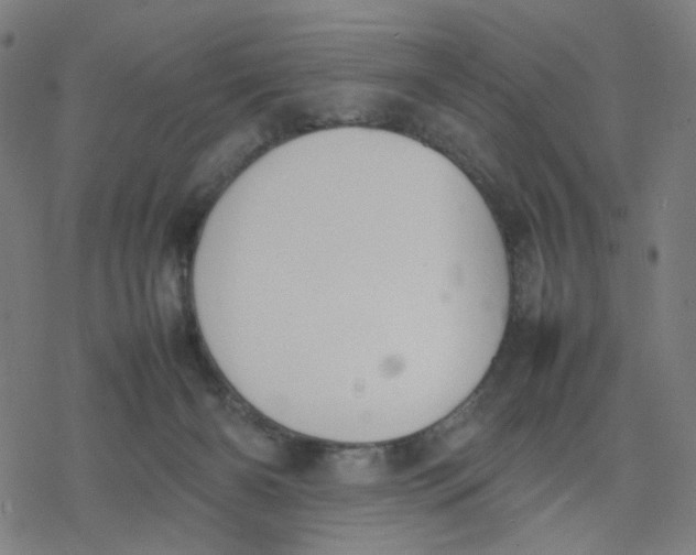 X0000077280126200611101327