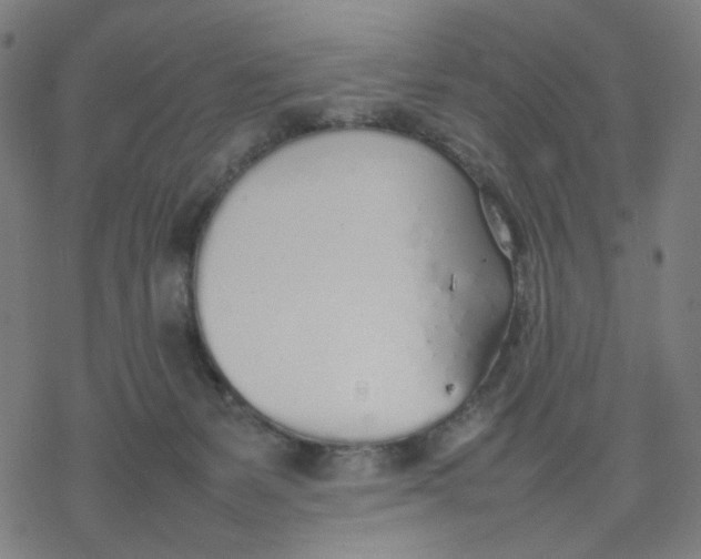 X0000077280127200611101327