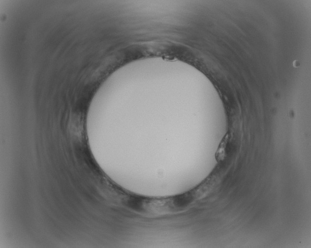 X0000077280129200611101327