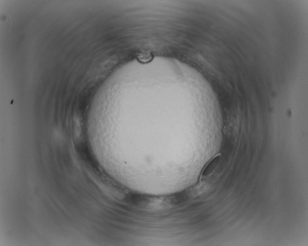 X0000077280130200611101327