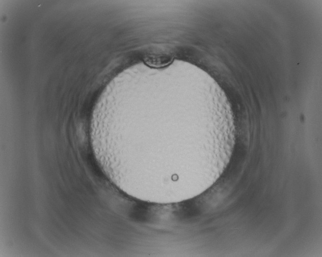 X0000077280131200611101327