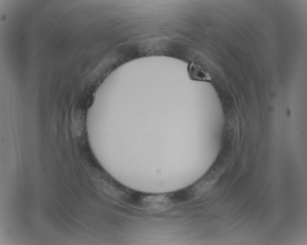 X0000077280133200611101327