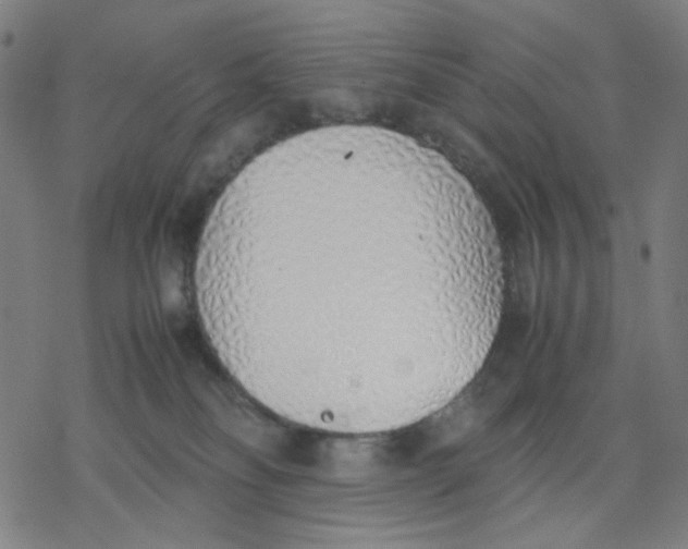 X0000077280134200611101327